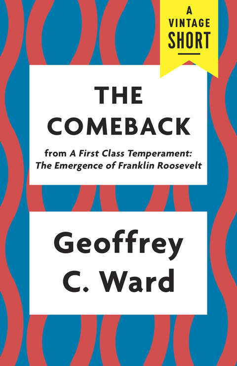 Cover image for book The Comeback