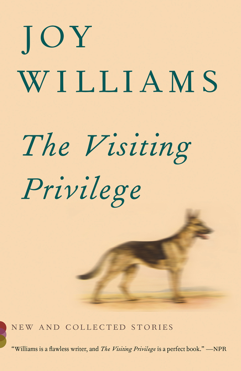 Cover image for book The Visiting Privilege