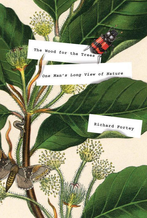 Cover image for book The Wood for the Trees