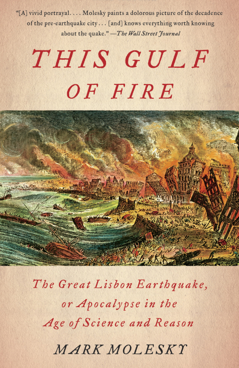 Cover image for book This Gulf of Fire