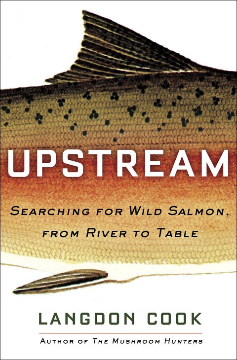 Cover image for book Upstream