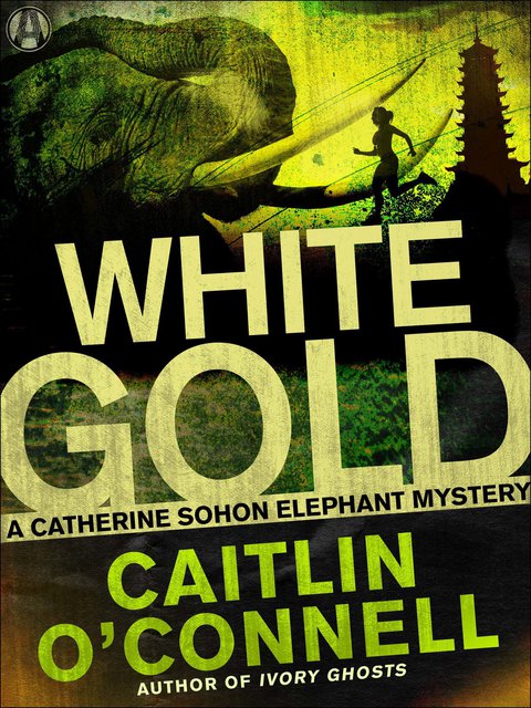 Cover image for book White Gold