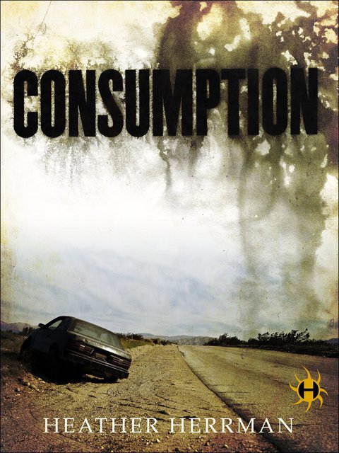 Cover image for book Consumption