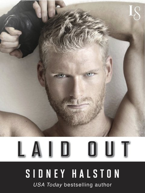 Cover image for book Laid Out