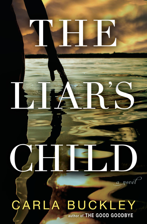 Cover image for book The Liar's Child