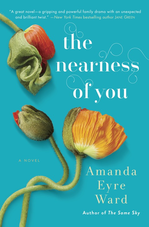 Cover image for book The Nearness of You