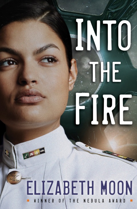Cover image for book Into the Fire