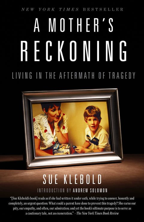 Cover image for book A Mother's Reckoning