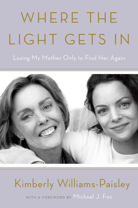 Cover image for book Where the Light Gets In