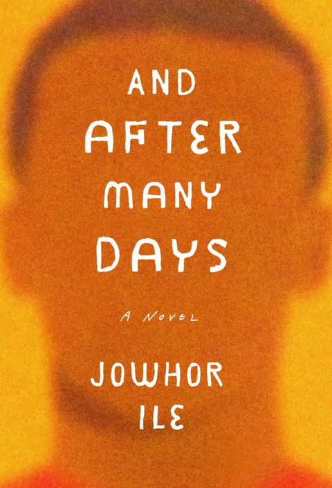 Cover image for book And After Many Days