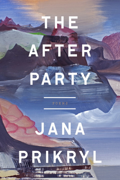 Cover image for book The After Party