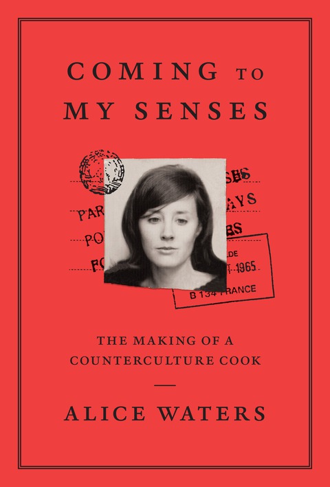 Cover image for book Coming to My Senses