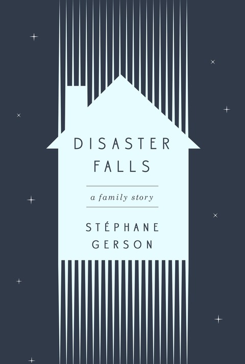 Cover image for book Disaster Falls