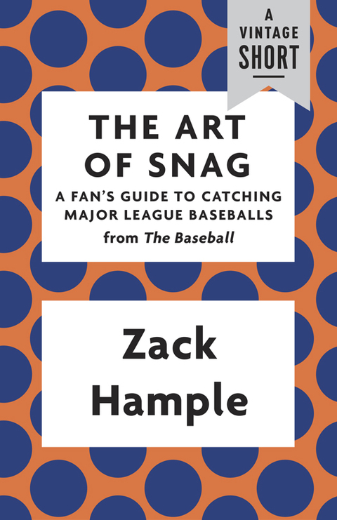 Cover image for book The Art of Snag