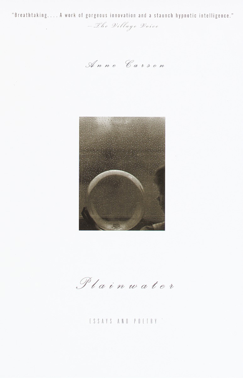 Cover image for book Plainwater