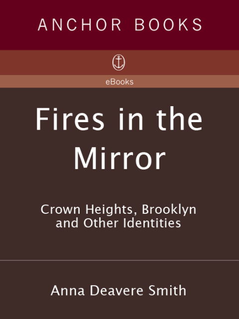 Cover image for book Fires in the Mirror