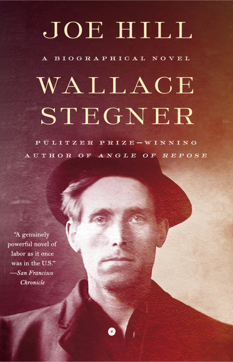 Cover image for book Joe Hill