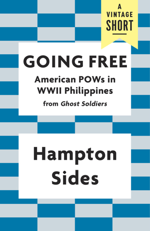 Cover image for book Going Free