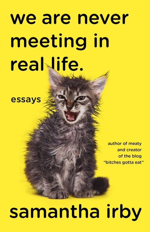 Cover image for book We Are Never Meeting in Real Life.