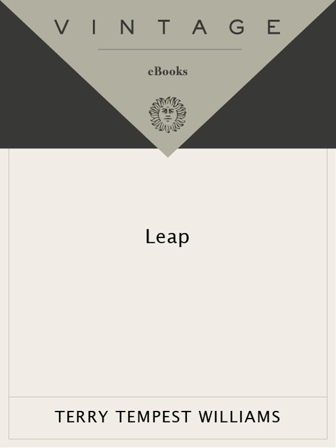 Cover image for book Leap