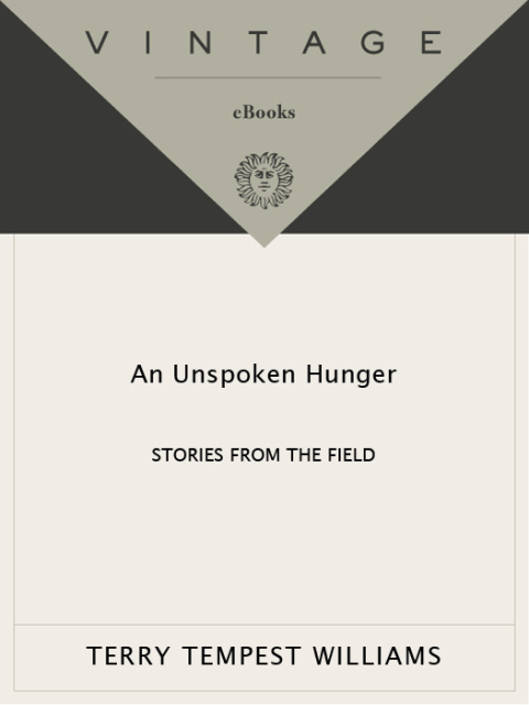 Cover image for book An Unspoken Hunger