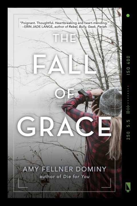 Cover image for book The Fall of Grace