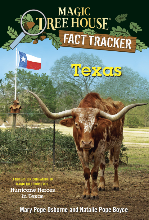 Cover image for book Texas