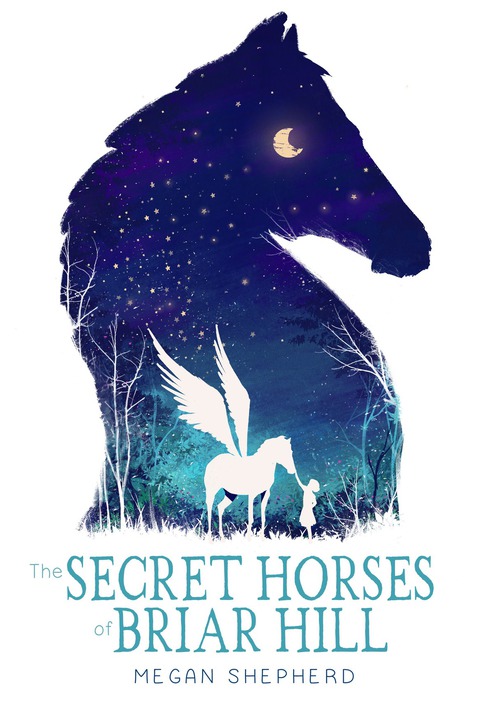 Cover image for book The Secret Horses of Briar Hill