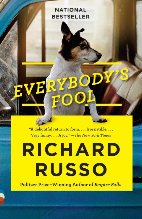 Cover image for book Everybody's Fool