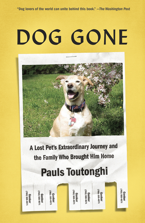 Cover image for book Dog Gone