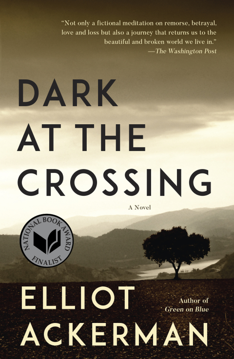 Cover image for book Dark at the Crossing