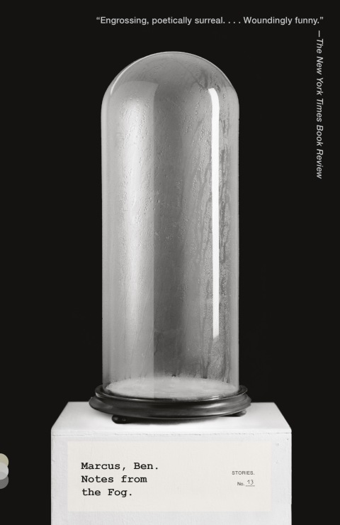 Cover image for book Notes from the Fog