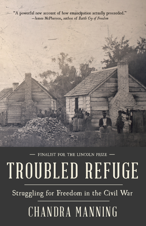 Cover image for book Troubled Refuge