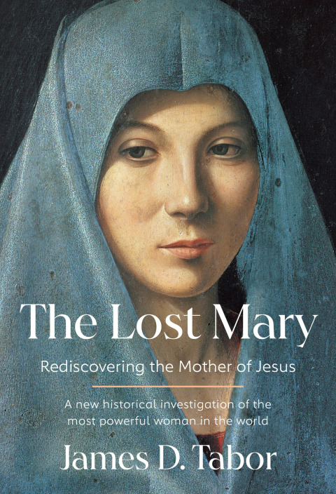Cover image for book The Lost Mary