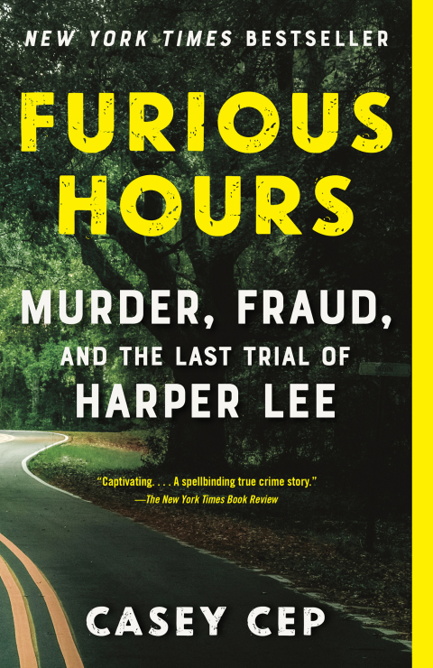 Cover image for book Furious Hours