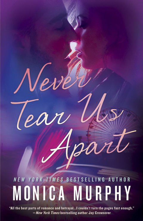 Cover image for book Never Tear Us Apart