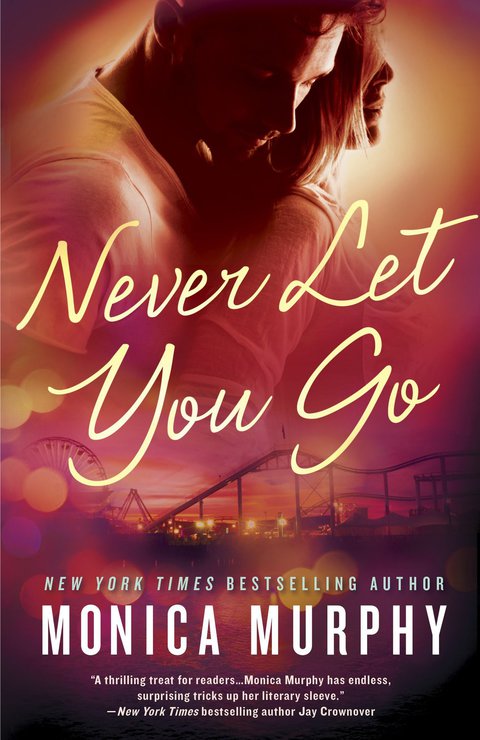 Cover image for book Never Let You Go