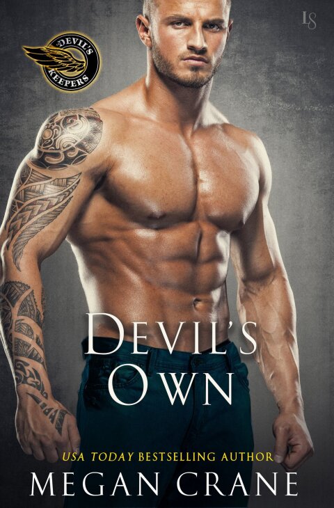Cover image for book Devil's Own