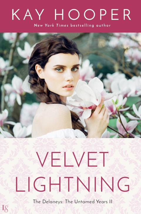 Cover image for book Velvet Lightning