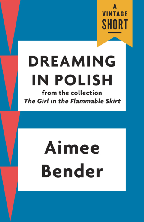 Cover image for book Dreaming in Polish