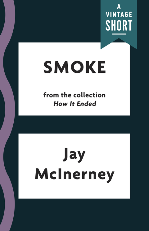 Cover image for book Smoke