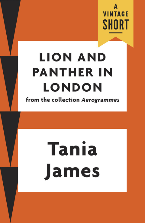 Cover image for book Lion and Panther in London