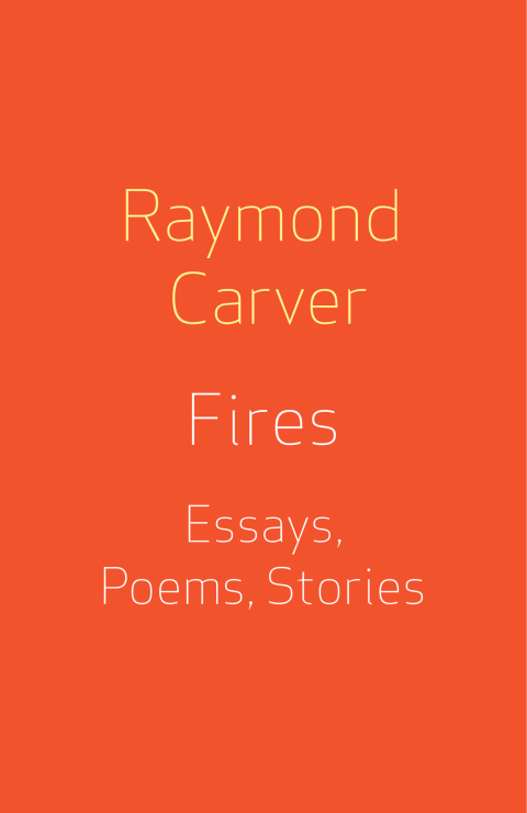 Cover image for book Fires