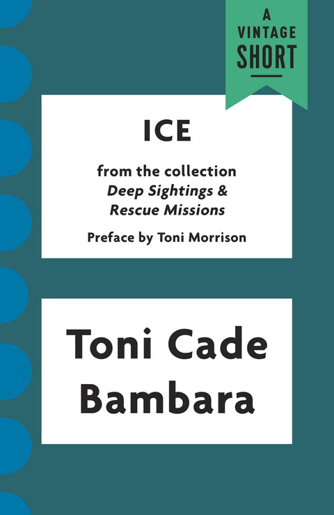 Cover image for book Ice