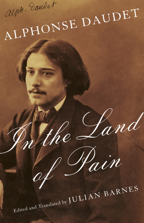 Cover image for book In the Land of Pain