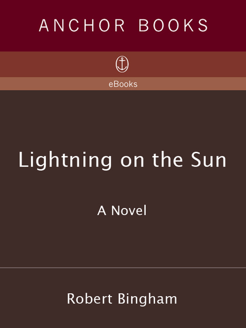 Cover image for book LIGHTNING ON THE SUN