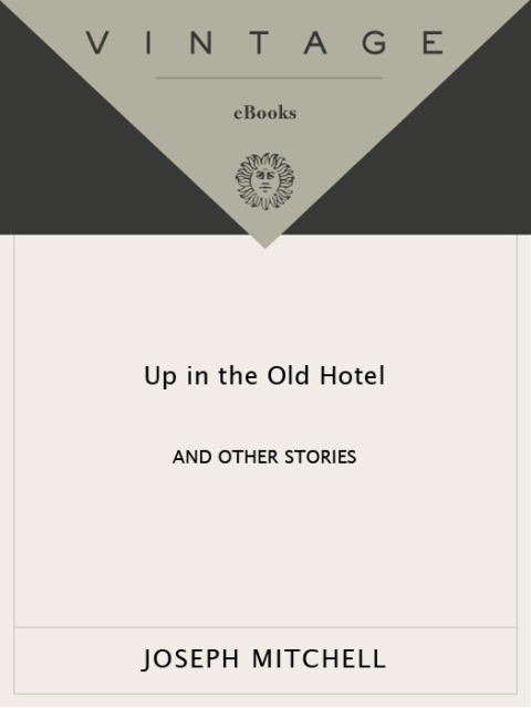 Cover image for book Up in the Old Hotel