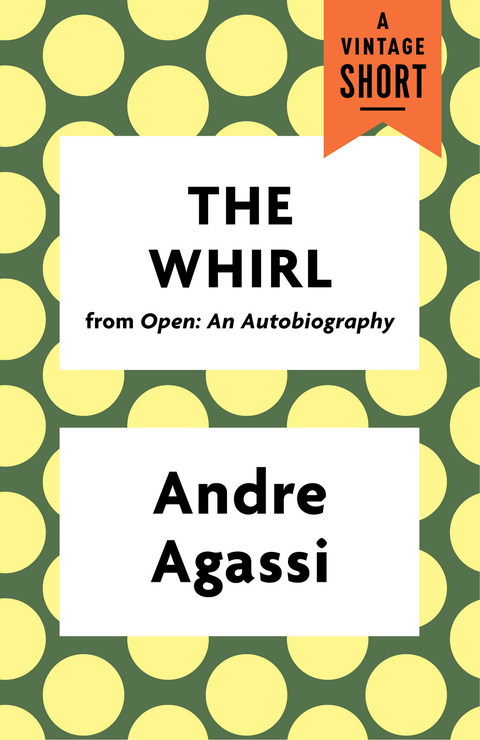 Cover image for book The Whirl