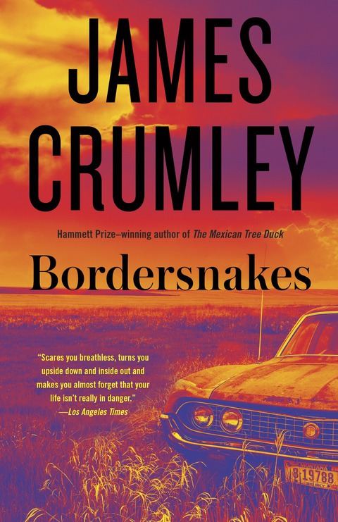 Cover image for book Bordersnakes