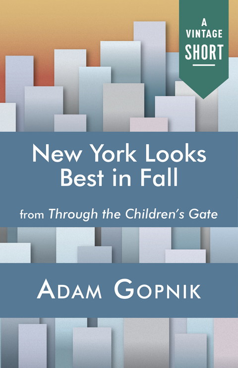 Cover image for book New York Looks Best in Fall